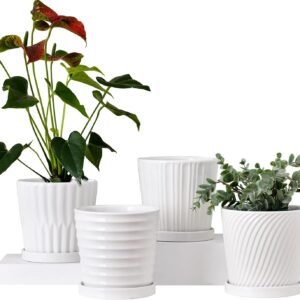 white ceramic flower pot