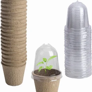 Biodegradable Pots