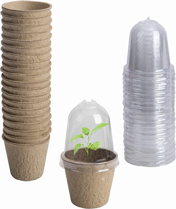 Biodegradable Pots